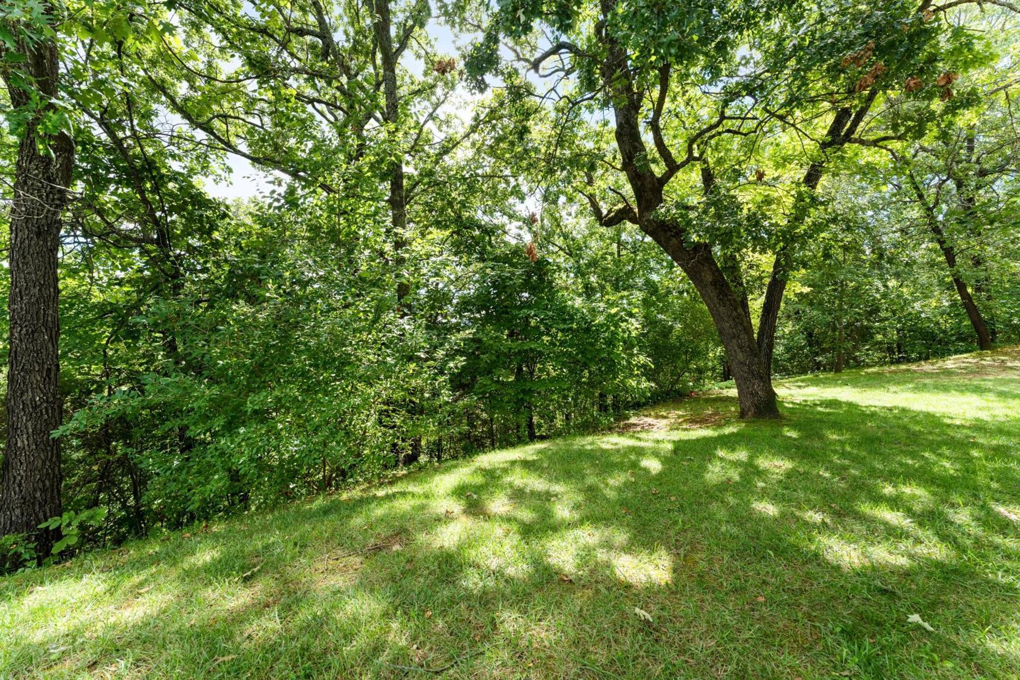 Bluffs Oasis Condo Branson Kültér fotó